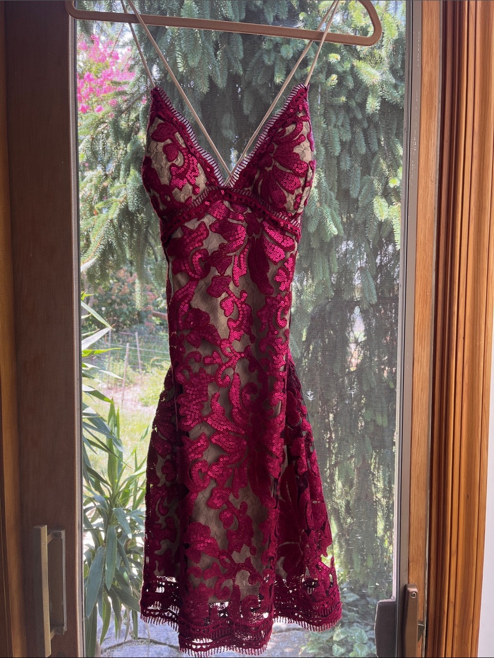 Va Va Voom Wine Burgundy Lace Slip Mini Dress